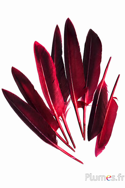 Oca - 12-18 cm - rosso-caffè